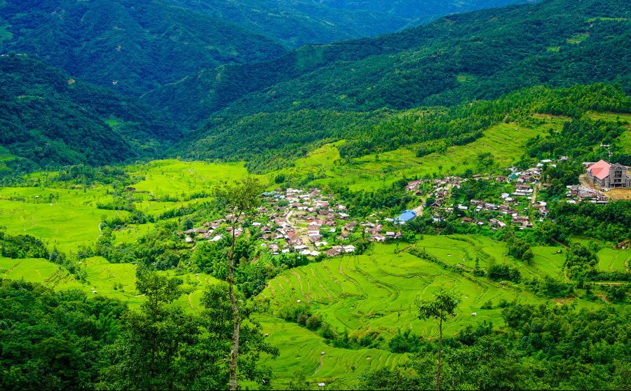 Pfütsero